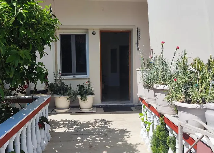 Nikol's * Mesaria (Andros)